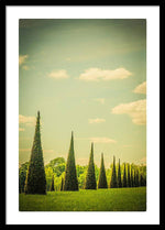 Load image into Gallery viewer, The Knot Garden's Triangular Landscaping - Framed Print

