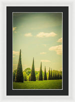 Load image into Gallery viewer, The Knot Garden's Triangular Landscaping - Framed Print
