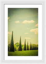 Load image into Gallery viewer, The Knot Garden's Triangular Landscaping - Framed Print
