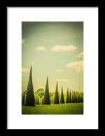 Load image into Gallery viewer, The Knot Garden's Triangular Landscaping - Framed Print
