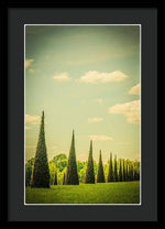 Load image into Gallery viewer, The Knot Garden's Triangular Landscaping - Framed Print

