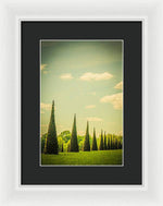 Load image into Gallery viewer, The Knot Garden's Triangular Landscaping - Framed Print

