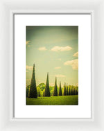 Load image into Gallery viewer, The Knot Garden's Triangular Landscaping - Framed Print
