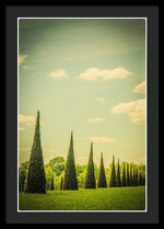 Load image into Gallery viewer, The Knot Garden's Triangular Landscaping - Framed Print
