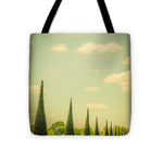 Load image into Gallery viewer, The Knot Garden's Triangular Landscaping - Tote Bag
