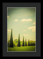 Load image into Gallery viewer, The Knot Garden's Triangular Landscaping - Framed Print
