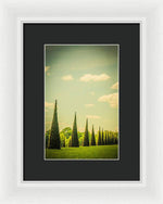 Load image into Gallery viewer, The Knot Garden's Triangular Landscaping - Framed Print
