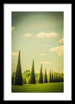 Load image into Gallery viewer, The Knot Garden's Triangular Landscaping - Framed Print
