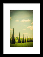 Load image into Gallery viewer, The Knot Garden's Triangular Landscaping - Framed Print
