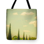 Load image into Gallery viewer, The Knot Garden's Triangular Landscaping - Tote Bag
