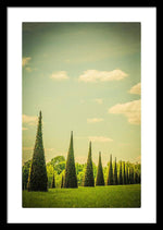 Load image into Gallery viewer, The Knot Garden's Triangular Landscaping - Framed Print
