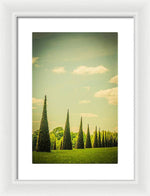 Load image into Gallery viewer, The Knot Garden's Triangular Landscaping - Framed Print

