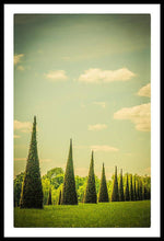 Load image into Gallery viewer, The Knot Garden's Triangular Landscaping - Framed Print
