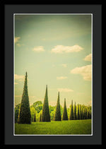 Load image into Gallery viewer, The Knot Garden's Triangular Landscaping - Framed Print
