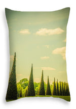 Load image into Gallery viewer, The Knot Garden's Triangular Landscaping - Throw Pillow
