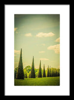Load image into Gallery viewer, The Knot Garden's Triangular Landscaping - Framed Print
