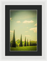 Load image into Gallery viewer, The Knot Garden's Triangular Landscaping - Framed Print
