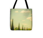 Load image into Gallery viewer, The Knot Garden's Triangular Landscaping - Tote Bag
