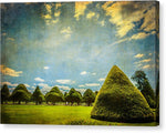 Load image into Gallery viewer, Triangular Trees 001 - Canvas Print
