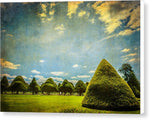 Load image into Gallery viewer, Triangular Trees 001 - Canvas Print
