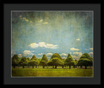 Load image into Gallery viewer, Triangular Trees 003 - Framed Print

