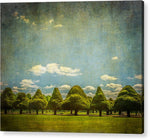 Load image into Gallery viewer, Triangular Trees 003 - Acrylic Print
