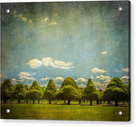 Load image into Gallery viewer, Triangular Trees 003 - Acrylic Print
