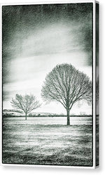Load image into Gallery viewer, Two Trees in a field - Canvas Print
