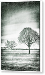 Load image into Gallery viewer, Two Trees in a field - Canvas Print
