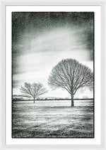 Load image into Gallery viewer, Two Trees in a field - Framed Print
