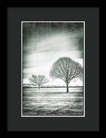 Load image into Gallery viewer, Two Trees in a field - Framed Print
