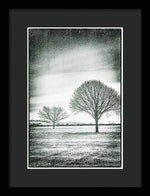 Load image into Gallery viewer, Two Trees in a field - Framed Print

