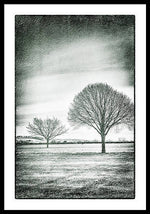 Load image into Gallery viewer, Two Trees in a field - Framed Print
