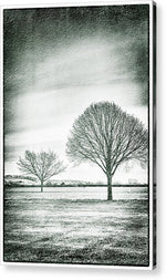 Load image into Gallery viewer, Two Trees in a field - Acrylic Print
