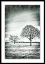 Load image into Gallery viewer, Two Trees in a field - Framed Print
