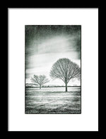 Load image into Gallery viewer, Two Trees in a field - Framed Print
