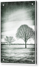 Load image into Gallery viewer, Two Trees in a field - Acrylic Print
