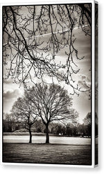 Load image into Gallery viewer, Urban Park trees - Canvas Print
