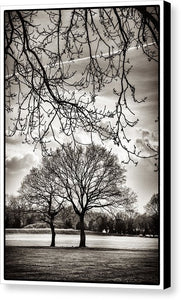 Urban Park trees - Canvas Print