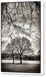 Load image into Gallery viewer, Urban Park trees - Canvas Print
