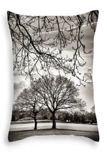 Load image into Gallery viewer, Urban Park trees - Throw Pillow
