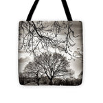 Load image into Gallery viewer, Urban Park trees - Tote Bag
