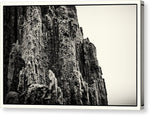 Load image into Gallery viewer, Weathered Wooden Post 2 - Canvas Print
