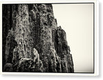 Load image into Gallery viewer, Weathered Wooden Post 2 - Canvas Print
