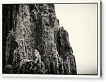 Load image into Gallery viewer, Weathered Wooden Post 2 - Acrylic Print
