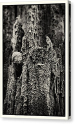 Load image into Gallery viewer, Weathered Wooden Post - Canvas Print
