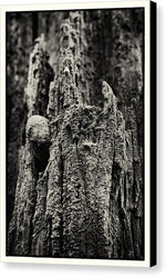Load image into Gallery viewer, Weathered Wooden Post - Canvas Print
