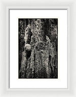 Load image into Gallery viewer, Weathered Wooden Post - Framed Print
