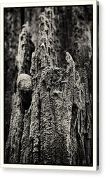 Load image into Gallery viewer, Weathered Wooden Post - Acrylic Print
