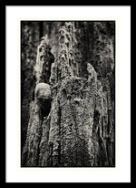 Load image into Gallery viewer, Weathered Wooden Post - Framed Print
